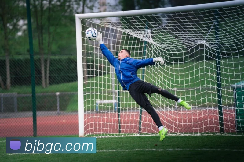 百家博娱乐城官网发展历程